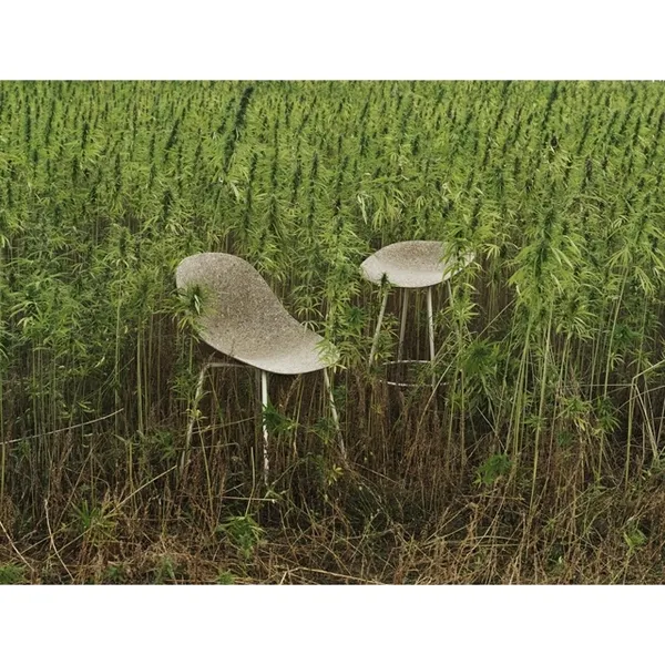 Matt Barstool With Back 65 cm Black/ Steel/Seaweed