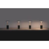 Asteria Move Portable Lamp Mini Red Marble