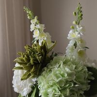 Enchanted Matcha Bouquet Grün