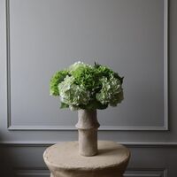 Hydrangea Bouquet Green