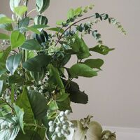 Jungle Camouflage Buket Grøn