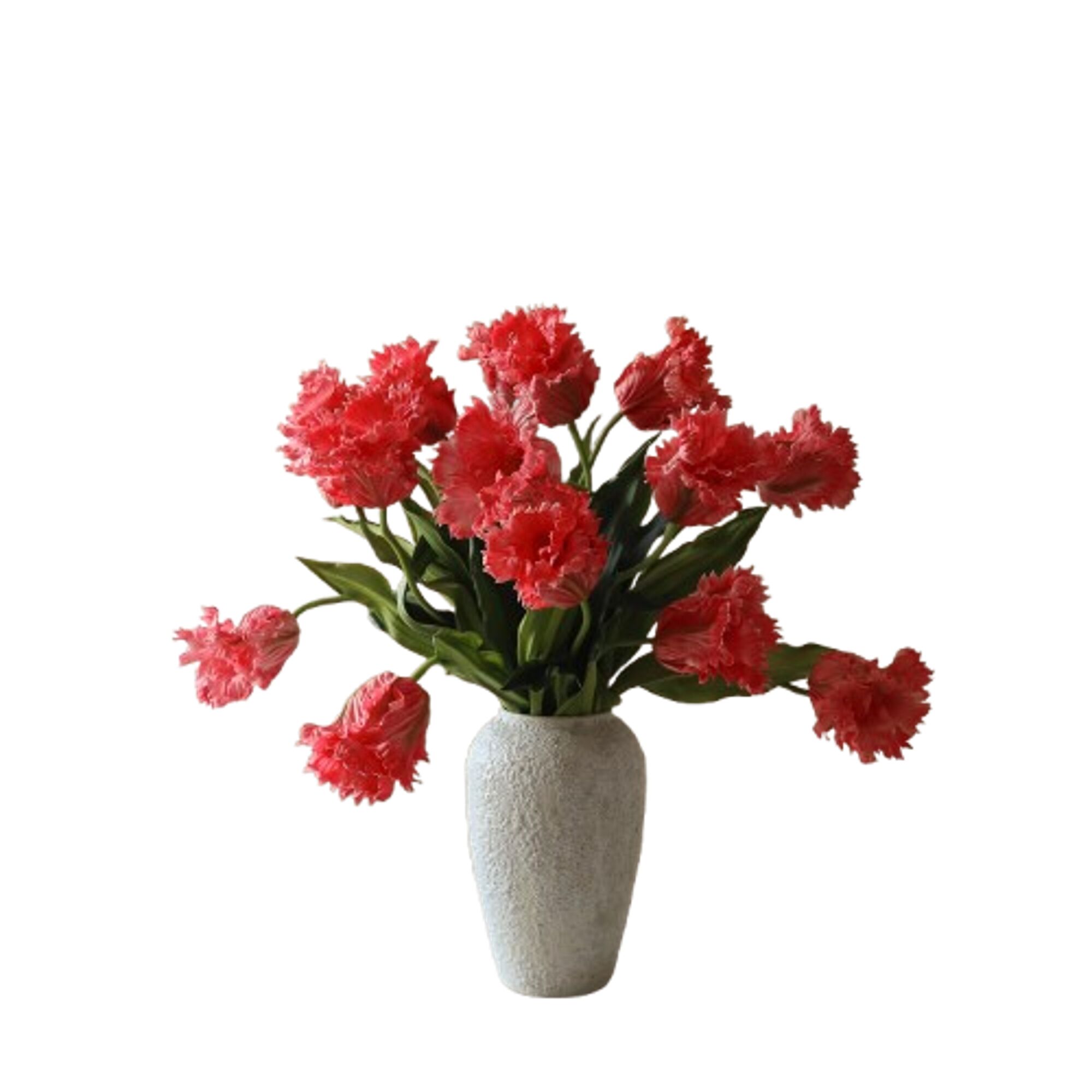 Bouquet de tulipes perroquets Rouge