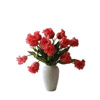 Parrot Tulips Bouquet Red