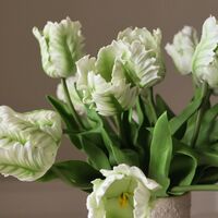 Small Parrot Tulip Bouquet White