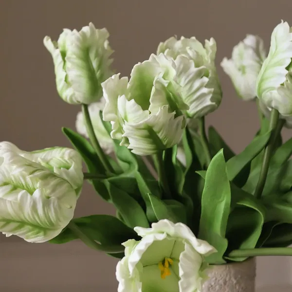 Kleiner Papageien-Tulpenstrauß in Weiß
