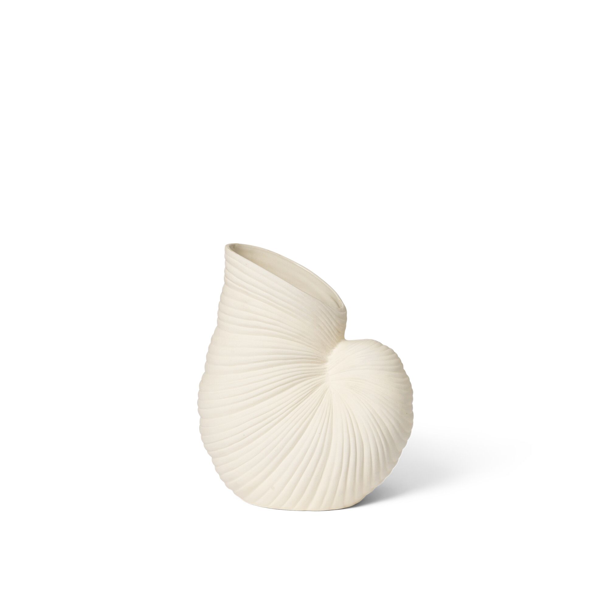 Vase Coquillage Blanc Cassé