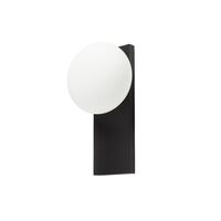 Dew Table/Wall Lamp White/ Black Painted Ash