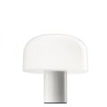 Light silver / Transparent