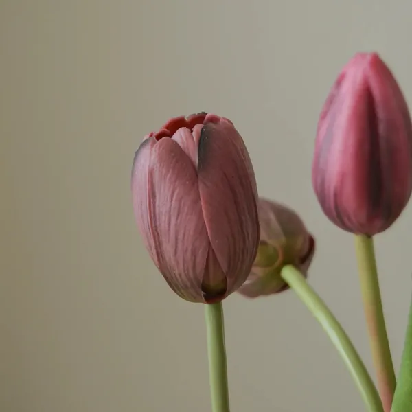 Tulip Buket Lilla