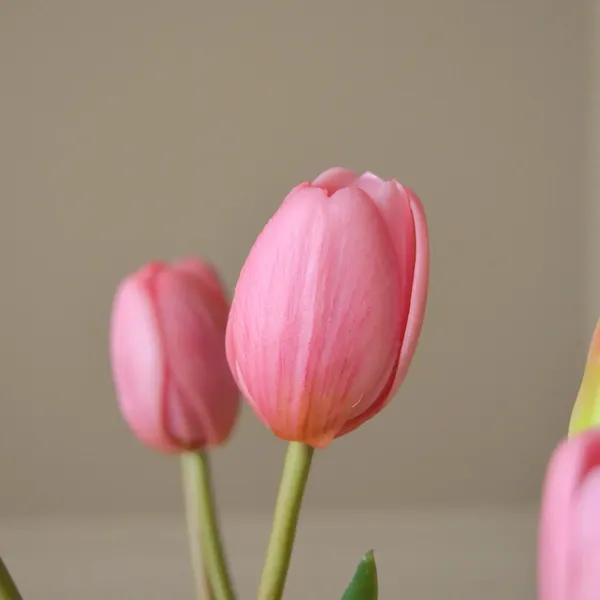 Tulip Buket Pink