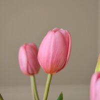 Tulip Buket Pink