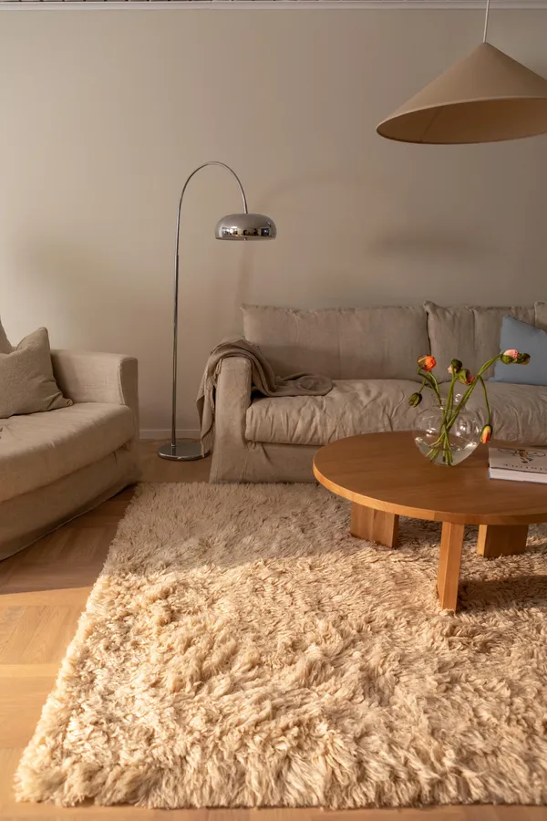 Shaggy Teppich 250x350 Dunkelbeige