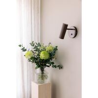 Applique Hubble Bronzo