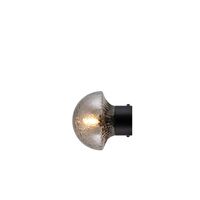 Fungo 16 Wall/ Ceiling Light Smoke/ Black