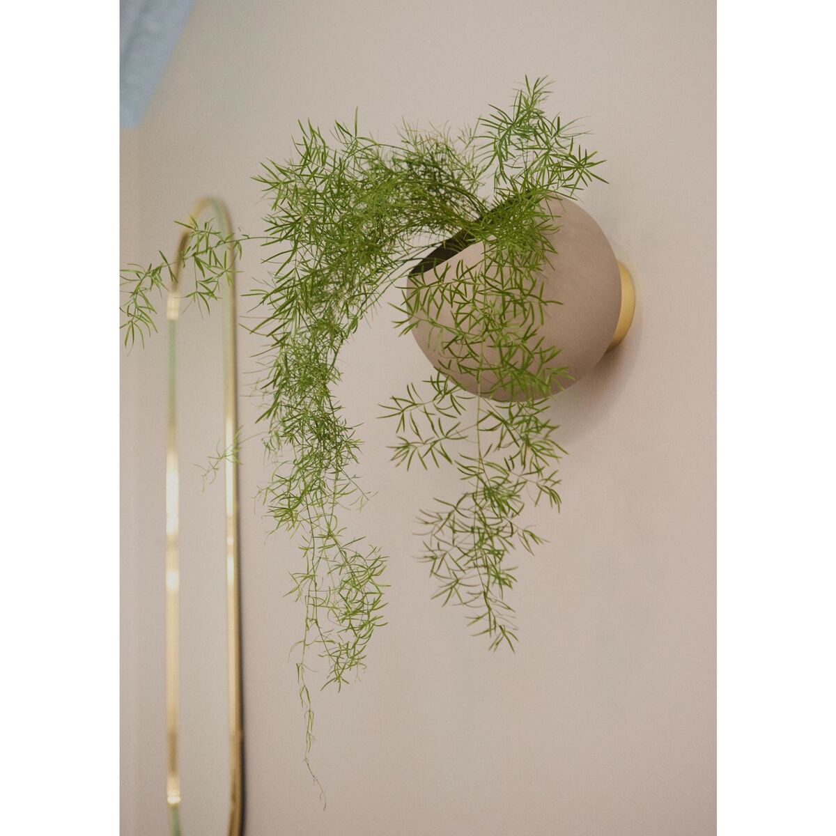 ANGUI Mirror H100 Gold