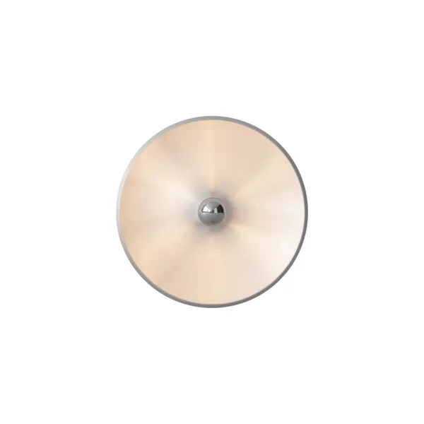 Model 262 Wall/ Ceiling Light Aluminum