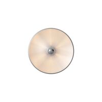 Model 262 Wall/ Ceiling Light Aluminum