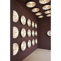 Model 262 Wall/ Ceiling Light Aluminum