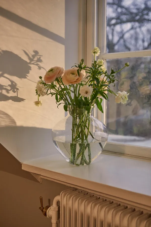 Juna Vaso 23 Trasparente