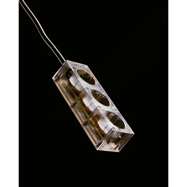 Power Bar Power Strip 200 cm Bubble Gum