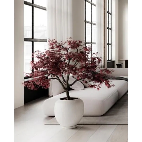 Sunao Vase Small Birch
