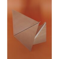 Gaze Spiegel 50x35 Gepolijst Staal