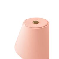 Iris 16 Draagbare Lamp Blush