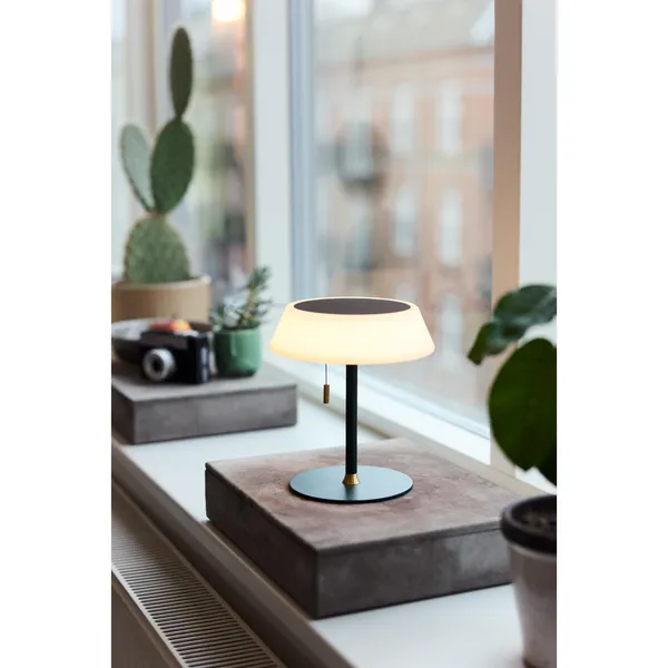 Solar-Tragbare Lampe Dunkelgrün