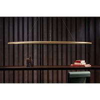 Ellisse Mega Hanglamp Ovaal Goud/ Wit Downlight 2700k
