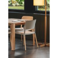 Belloch Dining Chair White Natural