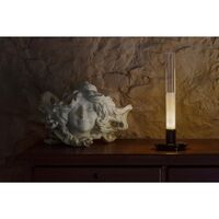 Sylvestrina Battery Table Lamp
