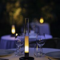 Sylvestrina Battery Table Lamp