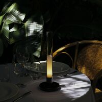 Sylvestrina Battery Table Lamp