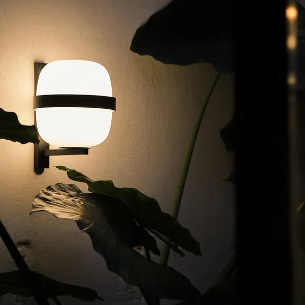 Wally Cesta Vegglampe Sort