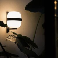 Wally Cesta Vegglampe Sort
