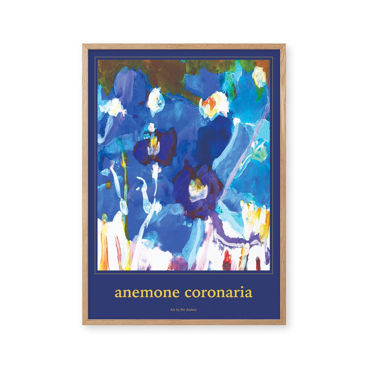 Anemone Coronaria 70x100 Poster