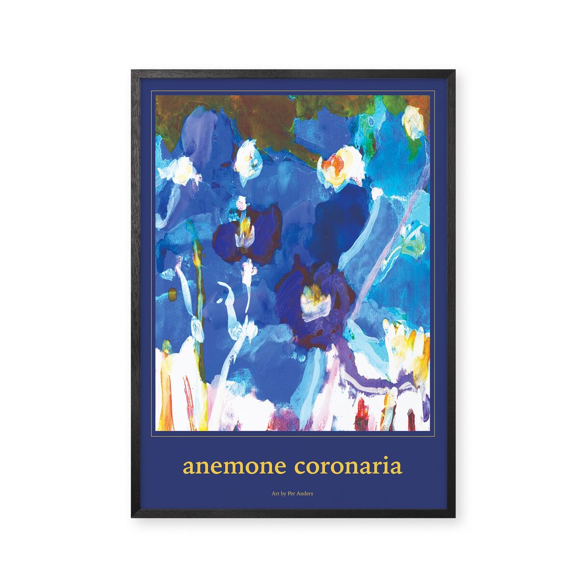 Anemone Coronaria 70x100 Poster