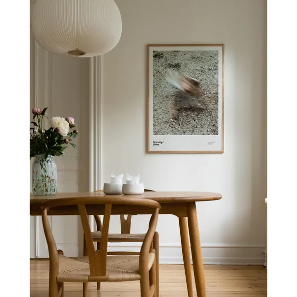 Gravity/forces 50x70 Poster