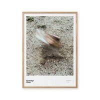 Gravity/forces 70x100 Poster