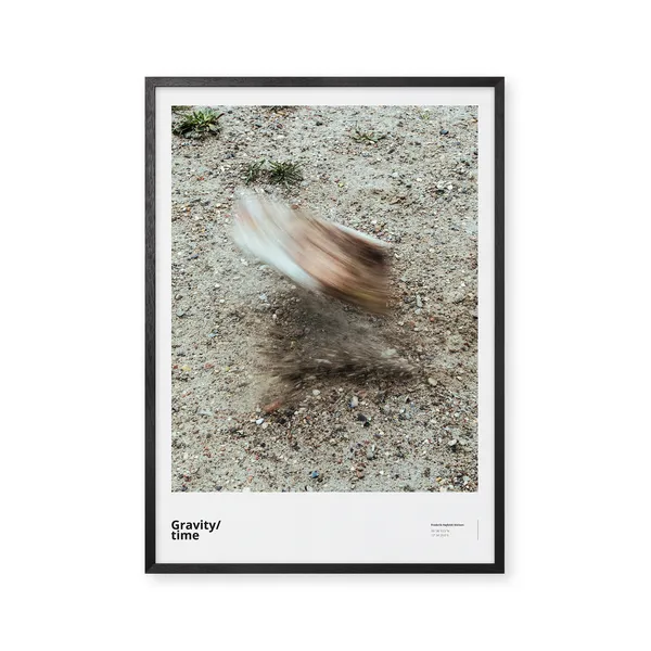 Gravity/forces 70x100 Poster
