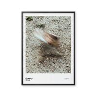 Gravity/forces 70x100 Poster
