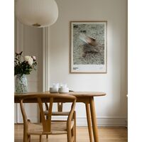Gravity/forces 70x100 Poster