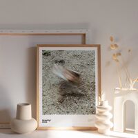 Gravity/forces 70x100 Poster