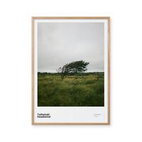 Tailwind/headwind 70x100 Poster