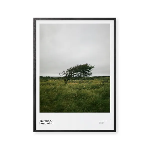 Tailwind/headwind 70x100 Poster