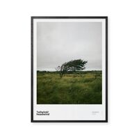 Tailwind/headwind 70x100 Poster