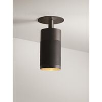Cartridge Recessed Ceiling Light Burnished Brass Clip-Fit