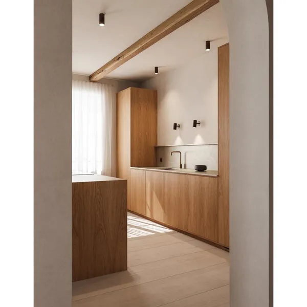 Patrone Surface Ceiling Light Black Burnished Brass