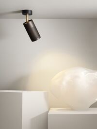 Cartridge Ceiling Light Black Burnished Brass