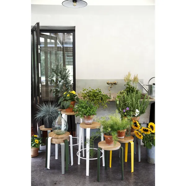 LOU Stool Oak/Eucalyptus Grey